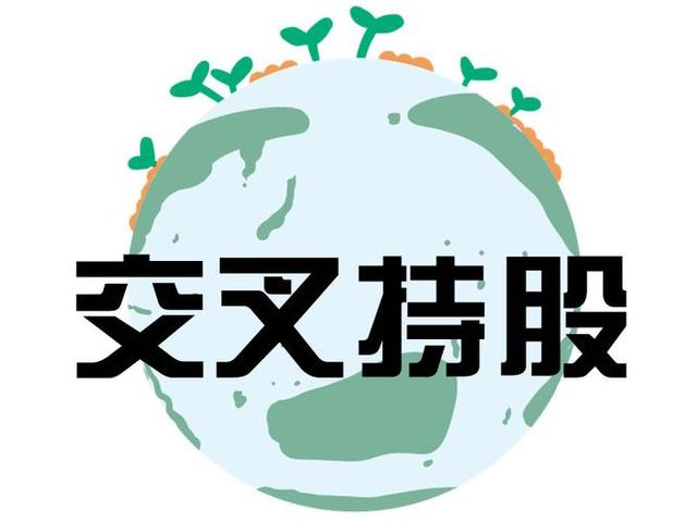 交叉持股安排设计(交叉持股怎么计算持股比例)广安市